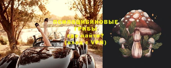 винт Пестово