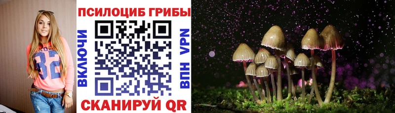 Псилоцибиновые грибы Psilocybine cubensis  Струнино 